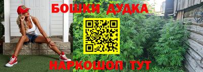 стафф Ливны